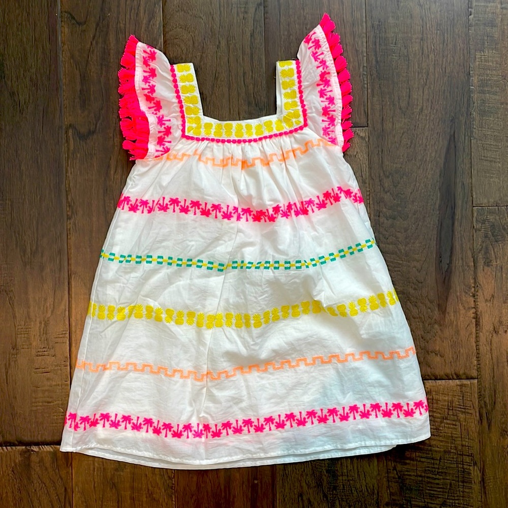 Cat and jack embroidered dress